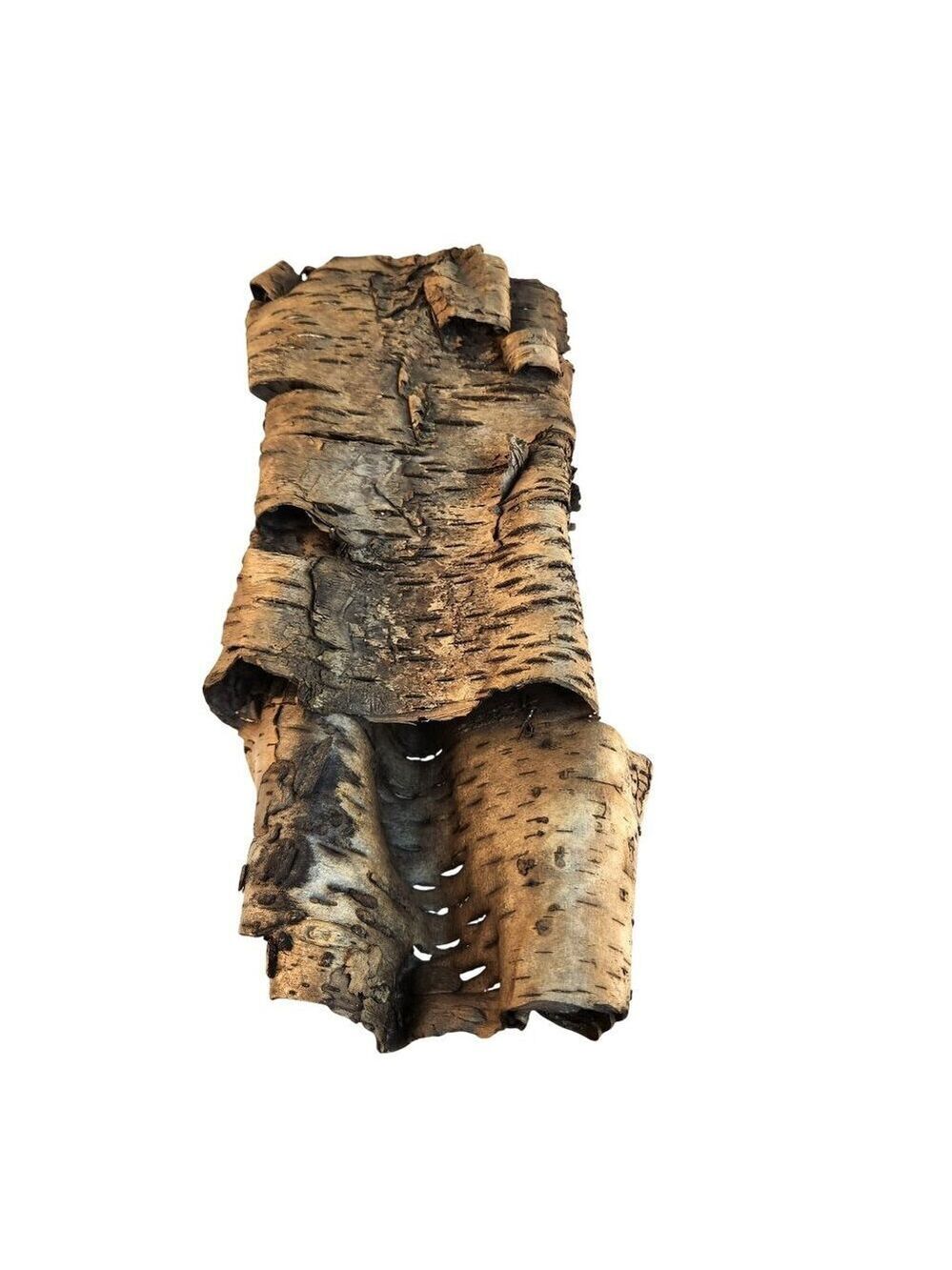 Natural Birch Bark Sheets For Crafting & Decor